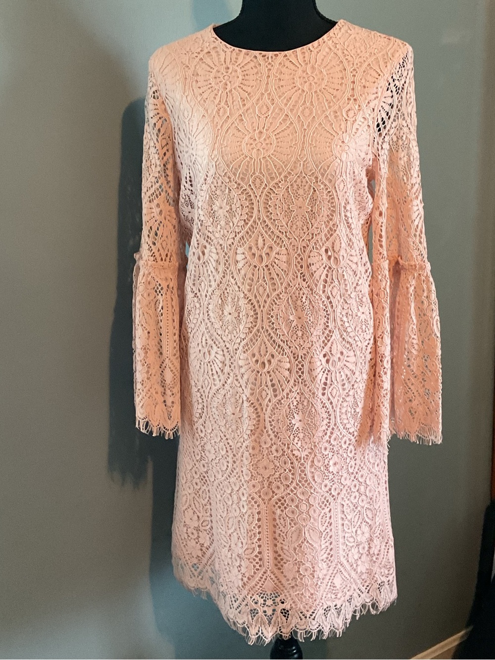Worthington Blush Pink Lace Long-Sleeve Shift Dress